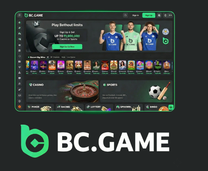 BC.Game Mirror Working Links Access the Best Crypto Gaming Experience